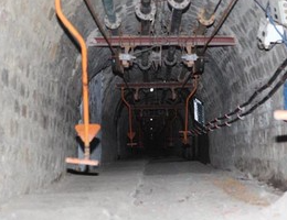 2025年猴車安全乘坐須知